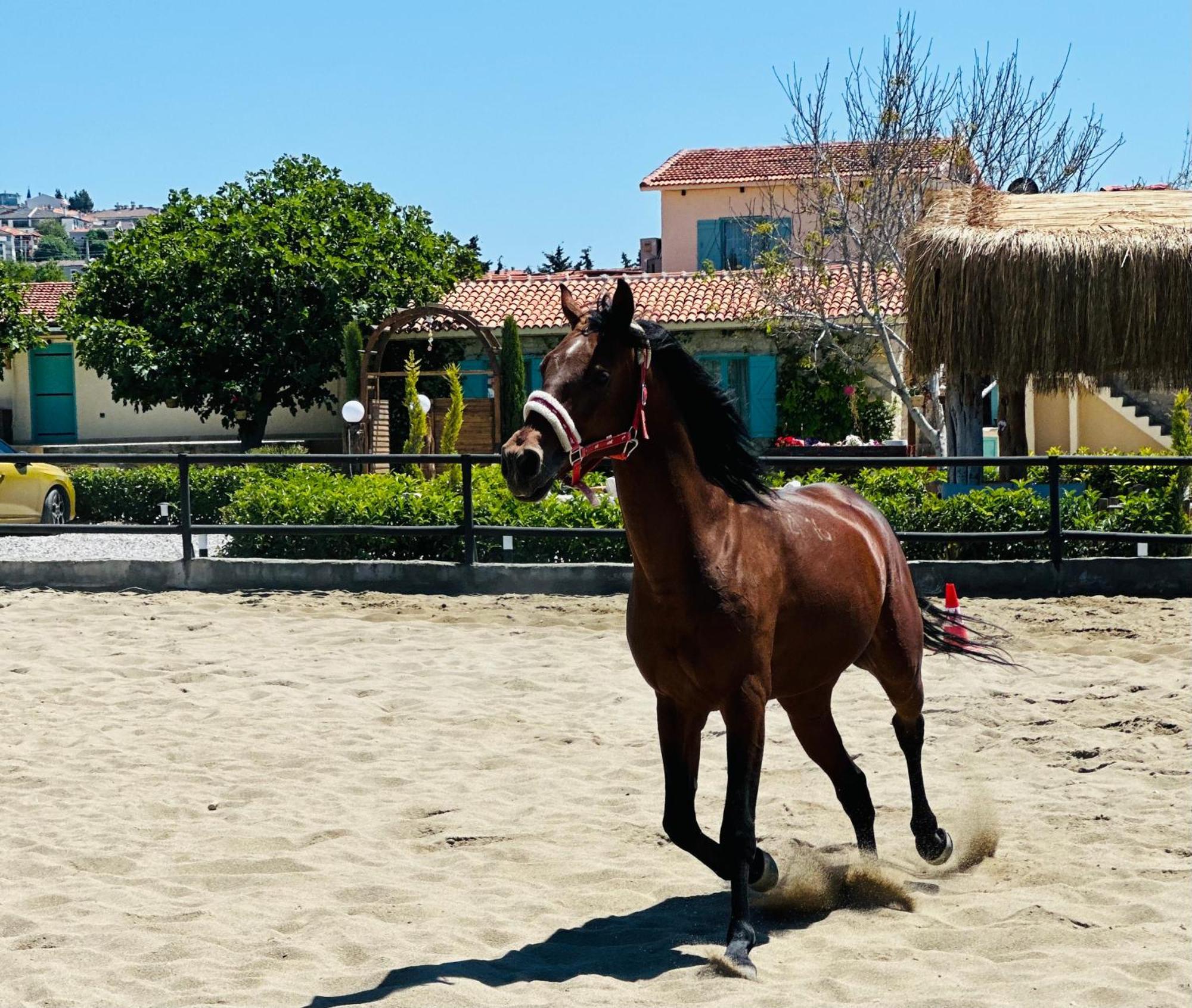 Ride And Stay Cesme Exterior photo